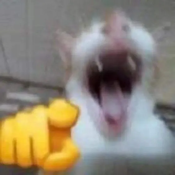 Cat pointing finger and laughing.jpg